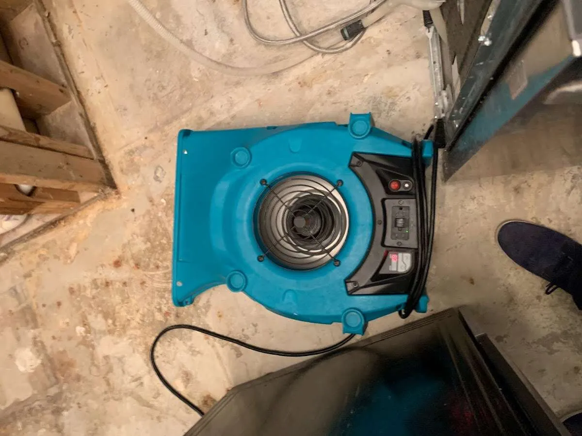 Air mover drying equipment for Mold Remediation & Removal in Pflugerville